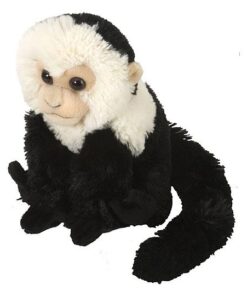 Wild Republic 11576 Plüsch Kapuziner Affe Cuddlekins Kuscheltier, Plüschtier, 20cm